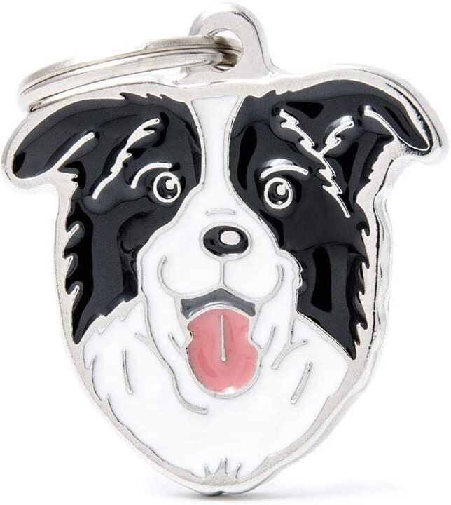 My Family Srl Border Collie