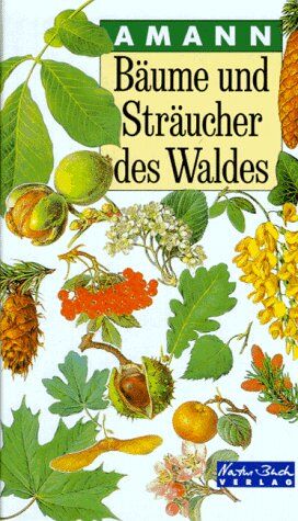 Gottfried Amann - Bäume und Sträucher des Waldes - Preis vom 10.10.2026 11:48:34 h