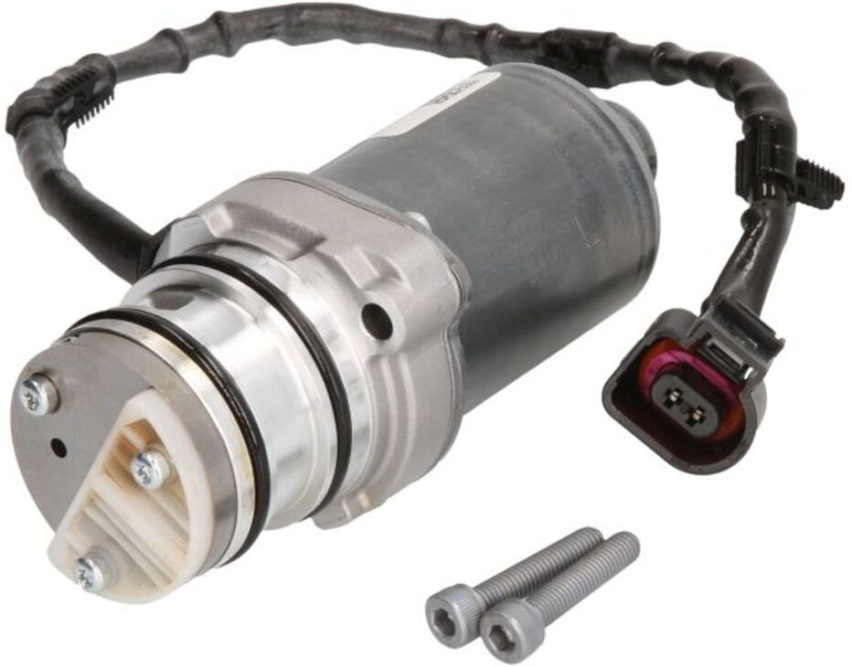 Öldruckpumpe BORG WARNER BW119866