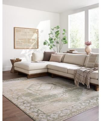 Livabliss Fifth Avenue Traditional Area Rug