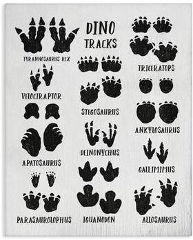 Stupell Children's Rustic Dinosaur Track Chart with Text Canvas Wall Art