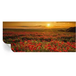 FOTOTAPETE 250x104 cm - Mohnfeld