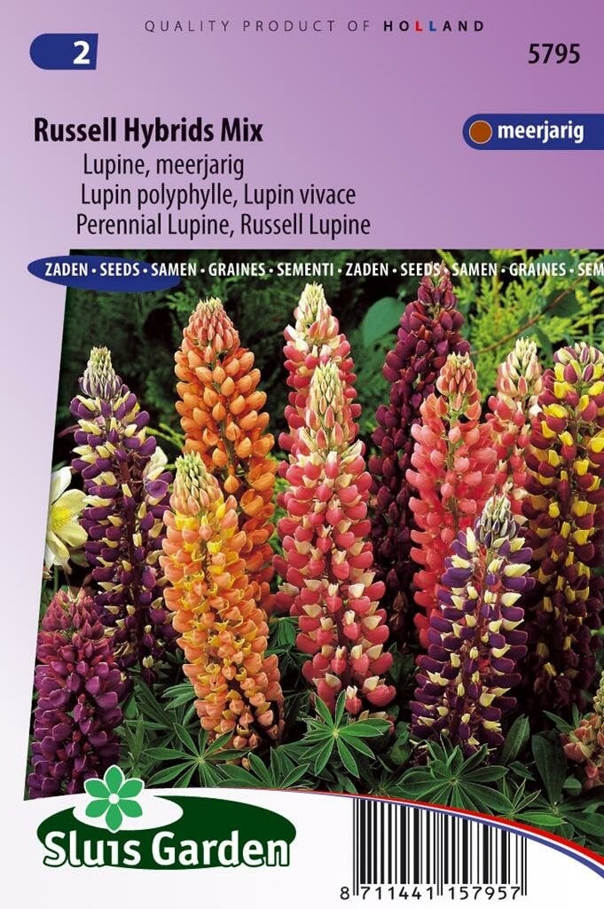 Sluis Garden Lupinus Russell Hybrids Mix bloemenzaden multicolleur