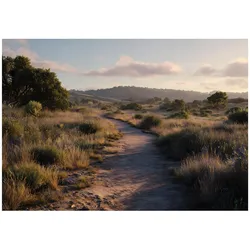 FOTOTAPETE Landschaft Natur Braun 400x280 cm