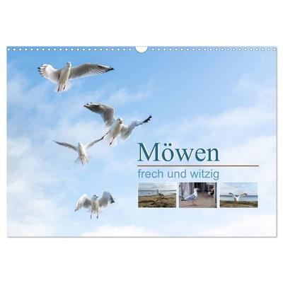 Möwen frech und witzig (Wandkalender 2026 DIN A3 quer), CALVENDO Monatskalender