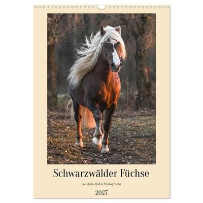 Schwarzwälder Füchse von Julia Hahn Photography (Wandkalender 2027 DIN A3 hoch), CALVENDO Monatskalender