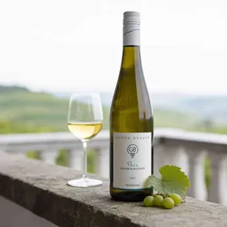Weingut Georg Breuer 2023 Georg Breuer Grauer Burgunder Gris 2023 Grauburgunder Deutschland