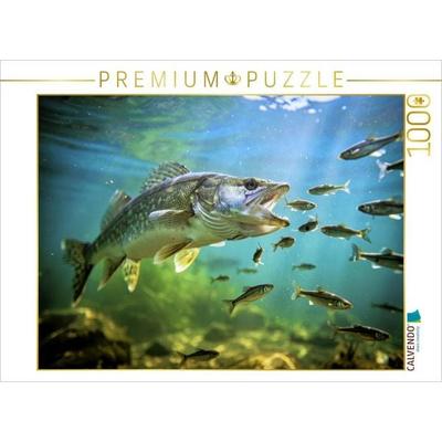 CALVENDO Puzzle Zander im See - einfach unwiderstehlich. | 1000 Teile Lege-Größe 64x48cm Foto-Puzzle für glückliche Stunden, Game von , Calvendo
