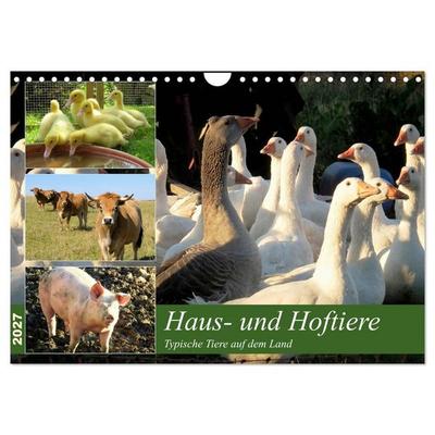 Haus- und Hoftiere (Wandkalender 2027 DIN A4 quer), CALVENDO Monatskalender
