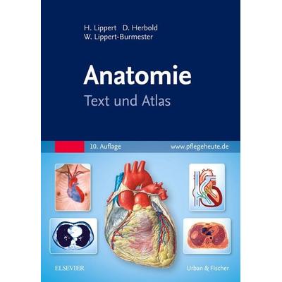 Anatomie, Taschenbuch von Herbert Lippert,Desiree Herbold,Wunna Lippert-Burmester, Urban & Fischer in Elsevier, 978-3-437-26183-1