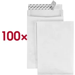 Tyvek 100er-Pack Faltentaschen »Expander« B4 ohne Fenster weiß weiß, 25x35.3 cm