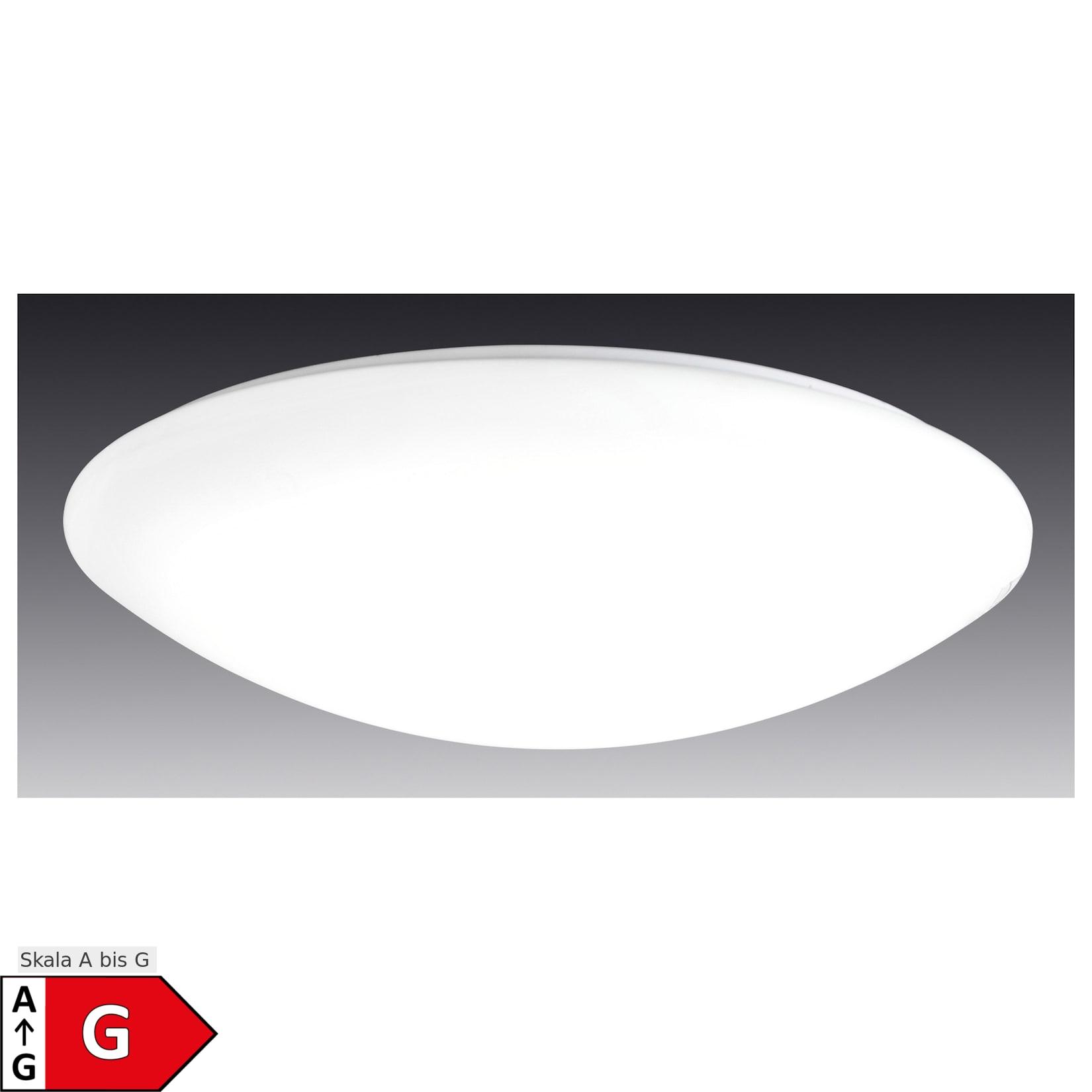 Näve LED / CCT Deckenleuchte "SYDNEY" Ø: 60cm