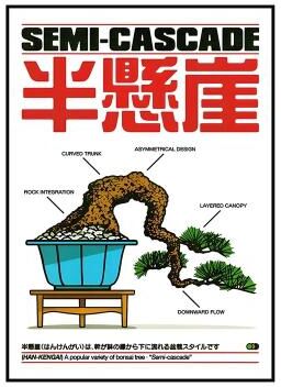 Inspired Living Japanese Koi Bonsai Canvas Wall Art Vintage Botanical Decor Print 6 30x40cm Unframed