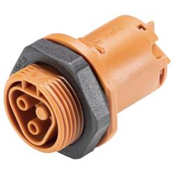 Wieland Electric 96.021.5051.4 Geräteanschluss