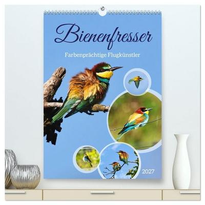 Bienenfresser, farbenprächtige Flugkünstler (hochwertiger Premium Wandkalender 2027 DIN A2 hoch), Kunstdruck in Hochglanz