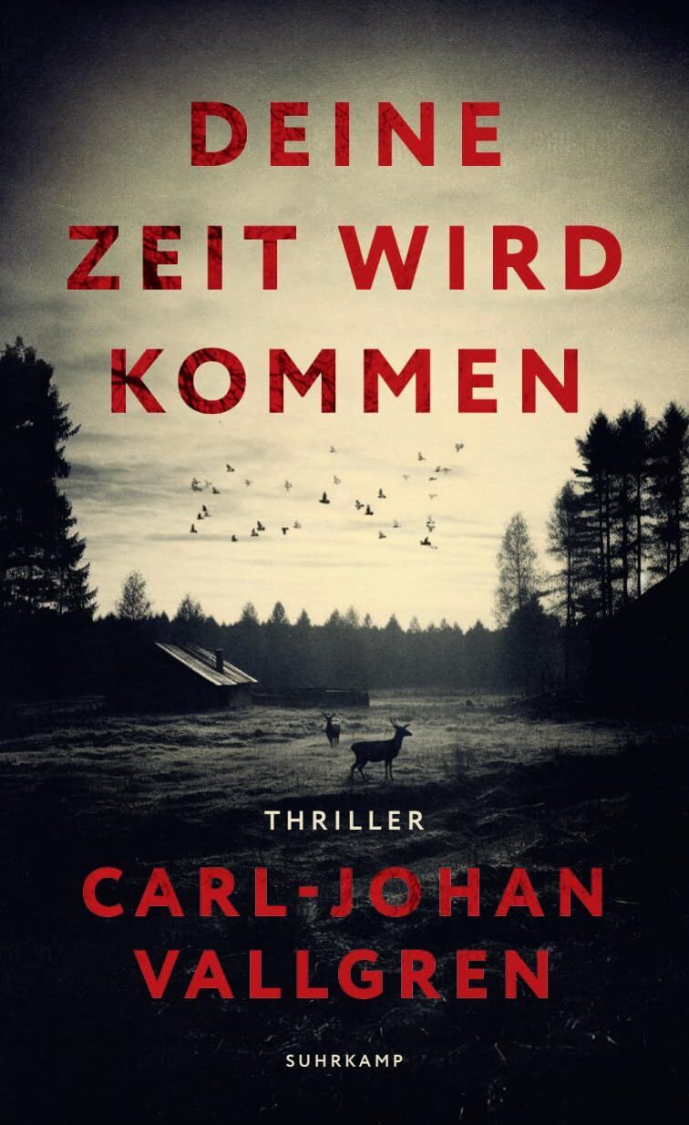 Carl-Johan Vallgren - Deine Zeit wird kommen - Preis vom 04.10.2026 03:51:26 h