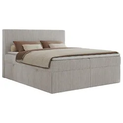 BOXBETT TILIANO 200/200 - Hellgrau Cord - H4