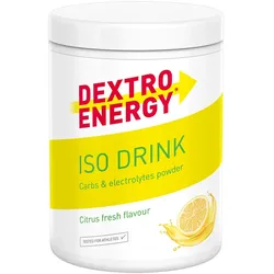DEXTRO ENERGY Sports Nutr.Isotonic Drink Citrus 440 g