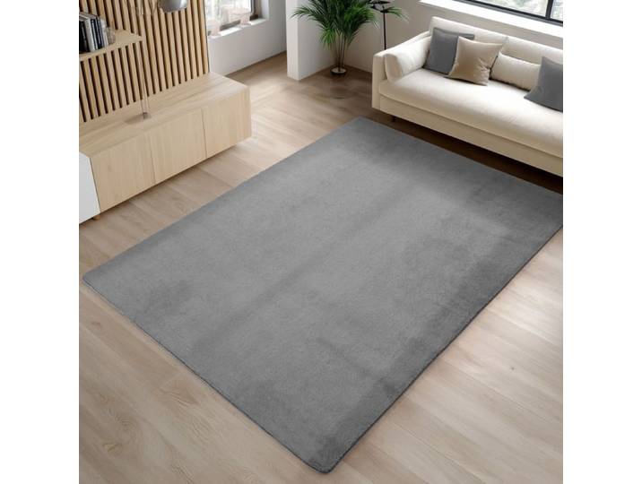 Carpetsale24 Tapis Gris 120x160 cm Lavable Antidérapant et Doux tapis uni Salon et Chambre