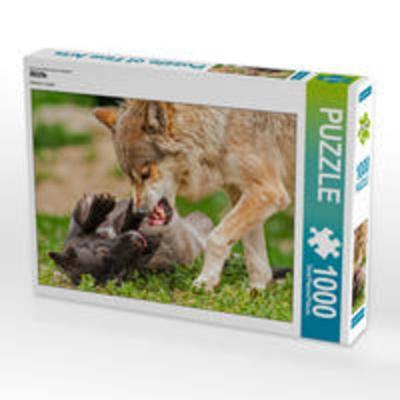 CALVENDO Puzzle Wölfe 1000 Teile Lege-Größe 640 x 480 cm Foto-Puzzle Bild von Peter Roder