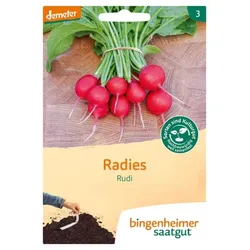Bingenheimer Saatgut Radies Rudi demeter
