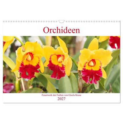 Orchideen Feuerwerk der Farben (Wandkalender 2027 DIN A3 quer), CALVENDO Monatskalender