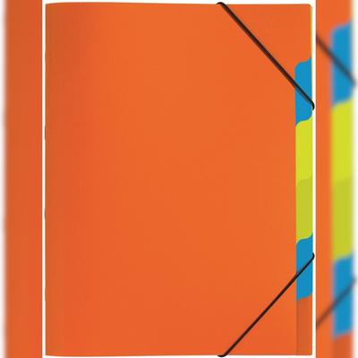 Pagna Ordnungsmappe A4 5 Fächer Funky School orange PP