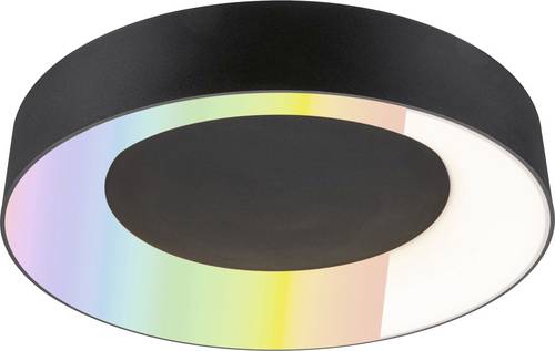 Paulmann 75416 Deckenleuchte 20W Schwarz (matt)