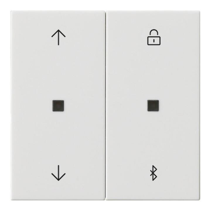 Gira Jalousie- + Schaltuhr Bluetooth Sys.55 rws 536703)