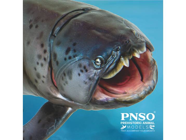 Modèles de dinosaures préhistoriques PNSO: 47Zaha Le Dunkleosteus