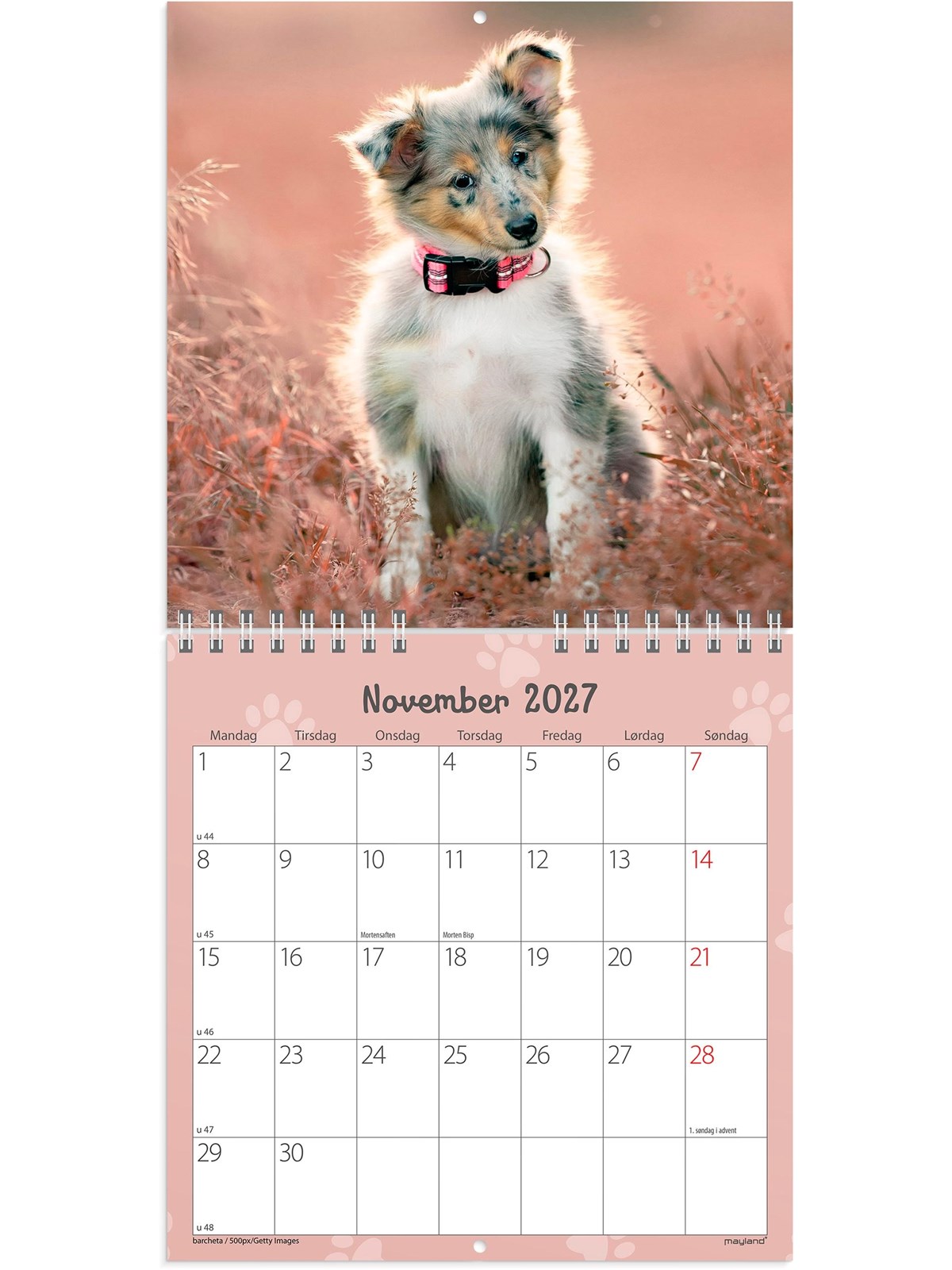 Mayland Vægkalender mini Hundehvalpe 2027
