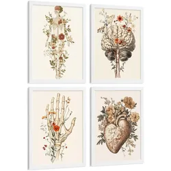POSTER Set aus 4 Anatomie Mensch Dekorative Drucke und Wandbilder mit Blumen Ganzkörper Gehirn Hand und Herz Stil Größe Weißer Rahmen A4