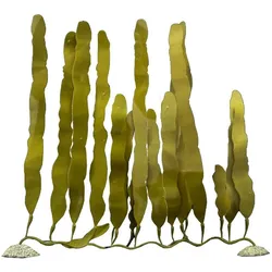Europet Caulerpa (Dekoration, Pflanzen, Pflanzen), Aquarium Dekoration