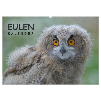 Eulen-Kalender (Wandkalender 2027 DIN A2 quer), CALVENDO Monatskalender