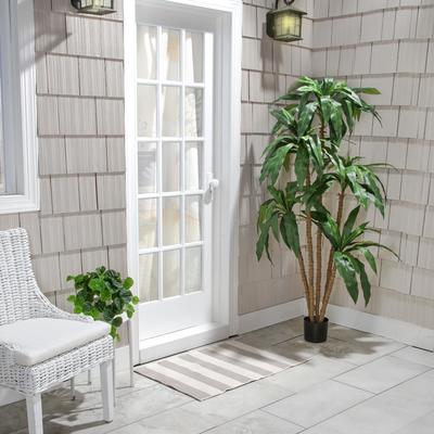 Regency International 6' UV Potted Dracaena Marginata Tree