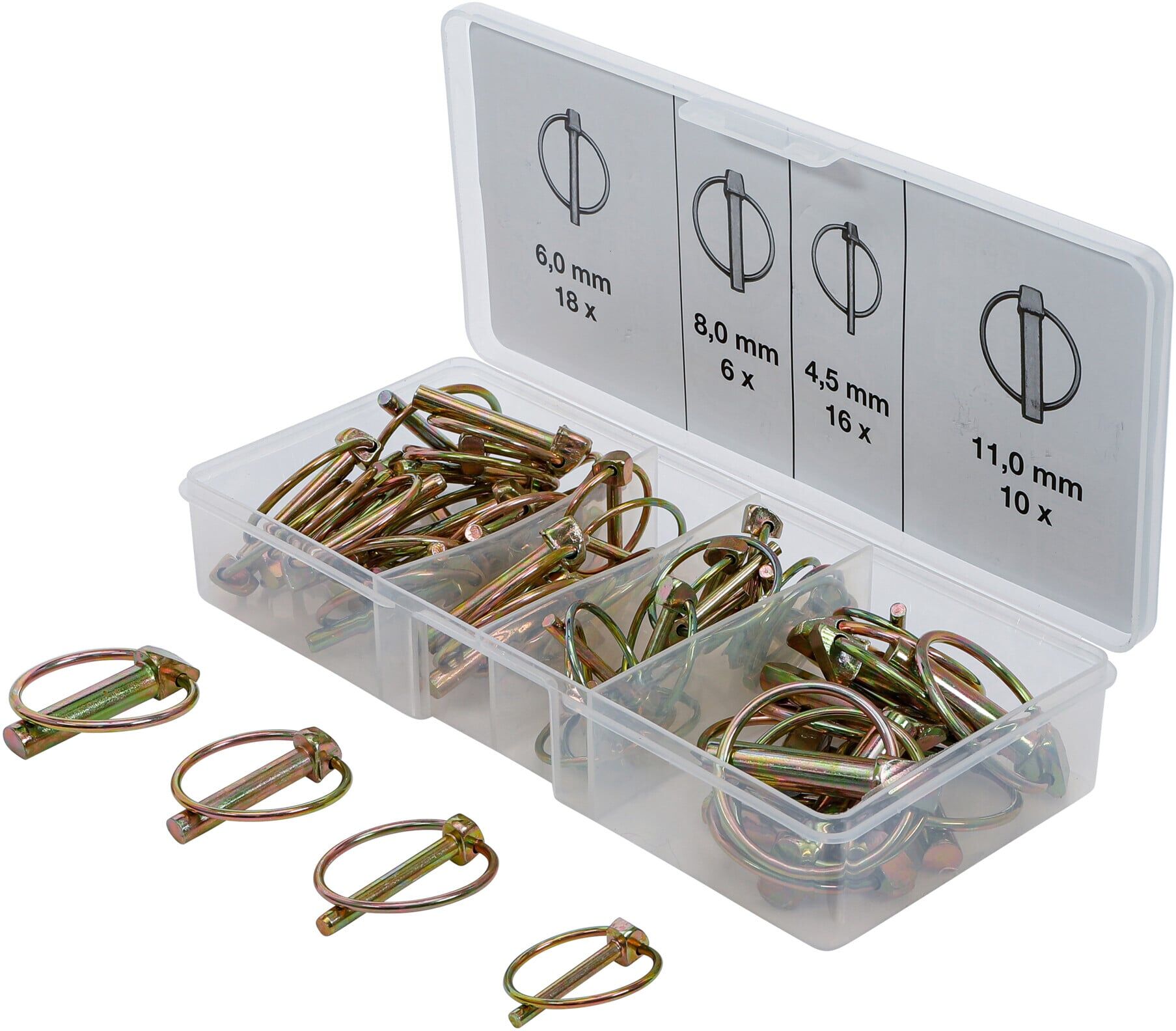 BGS Klappsplinte-Sortiment 50-tlg. ; BGS technic (8087)