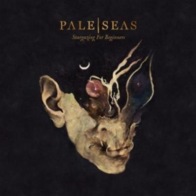 Stargazing For Beginners - Pale Seas, CD