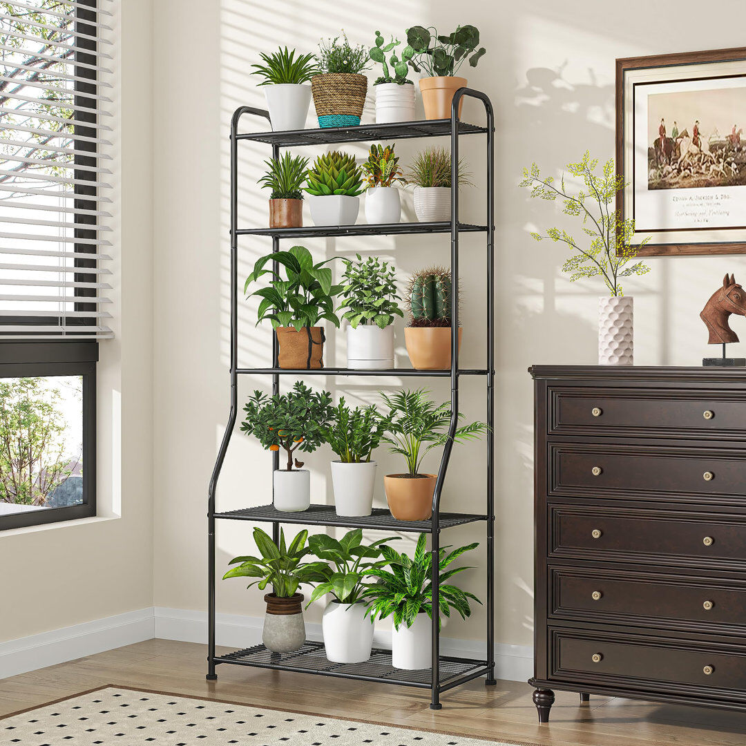 Dakota Fields 5 Tier Plant Stand Black 162.6cm H X 69.9cm L X 21.6cm D
