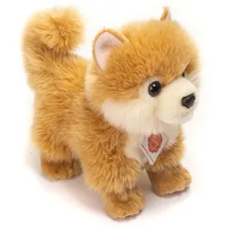 Teddy-Hermann - Zwergspitz, 22 cm - braun|weiß