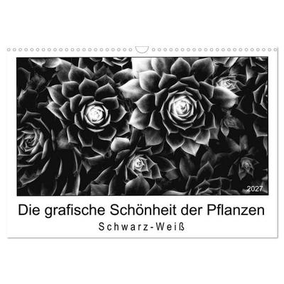 Die grafische Schönheit der Pflanzen – Schwarz-Weiß (Wandkalender 2027 DIN A3 quer), CALVENDO Monatskalender