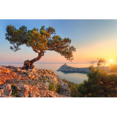 Fototapete PAPERMOON "Baum auf Berg", bunt, B:2,5m L:1,86m, Vlies, Tapeten