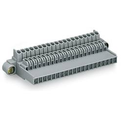 WAGO Buchsengehäuse-Kabel 246 Polzahl Gesamt 20 246-101 15 St.