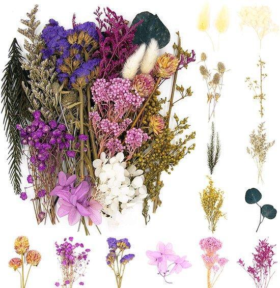 Benza Ibenzoa Natuurlijke gedroogde bloemen set voor decoratie en knutselen