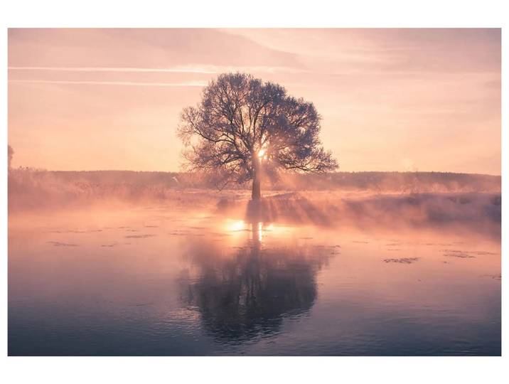 Digitaldruck auf Acrylglas Baum mit Spiegelung image LAND