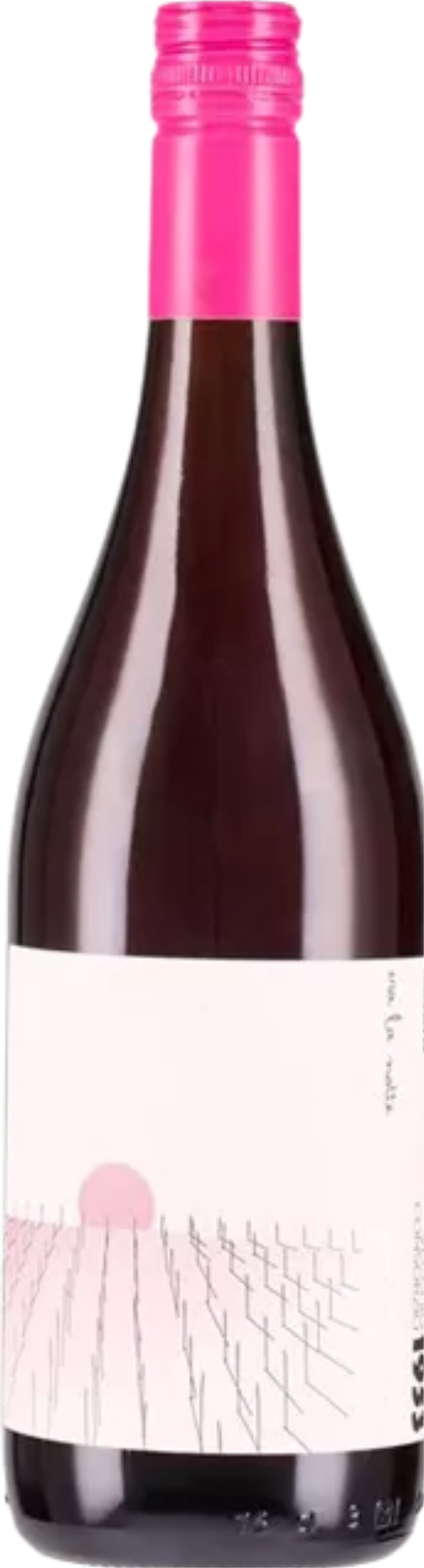 Rosato 'Era la Notte' Vecchio Consorzio 1953