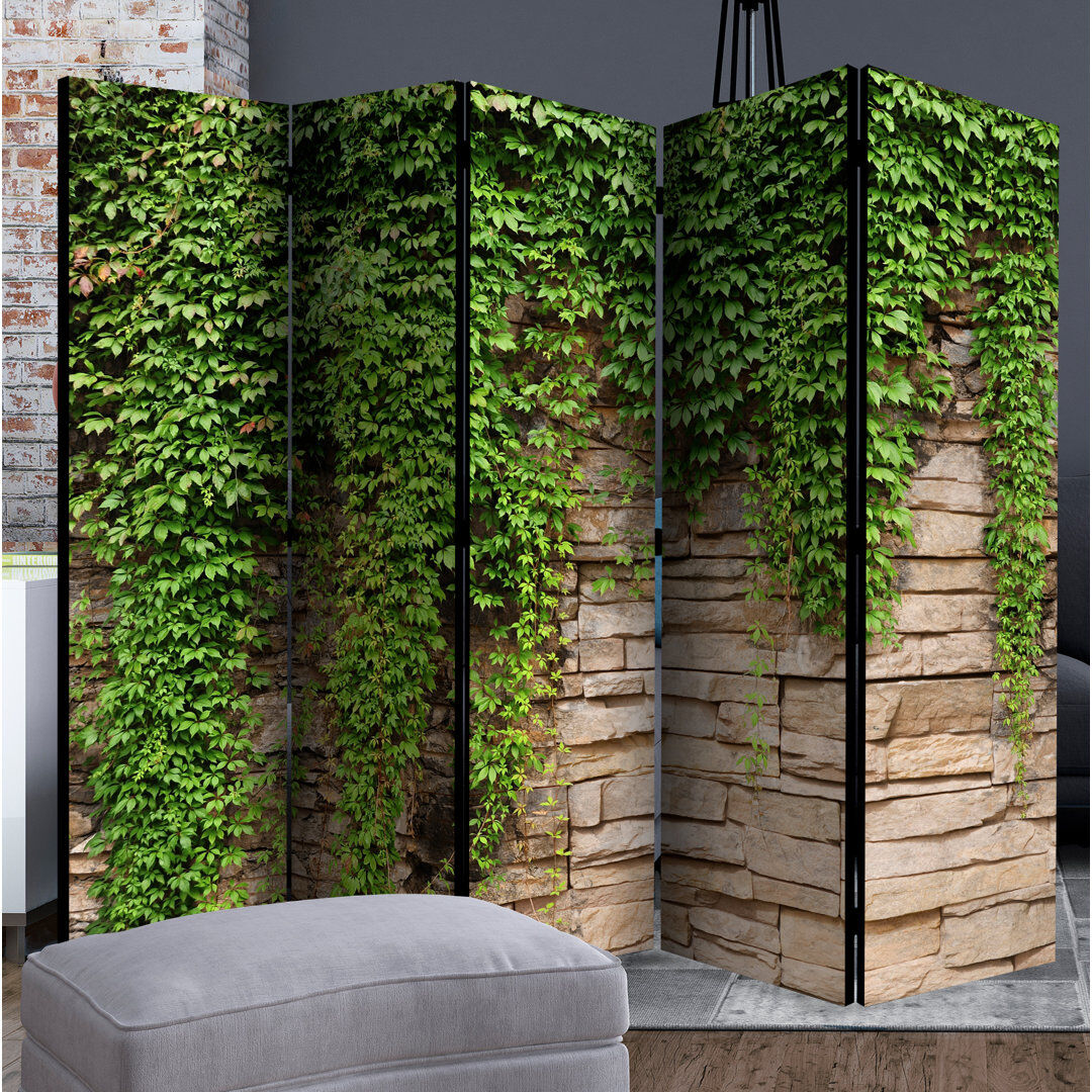 Ebern Designs Hoya 172cm H Solid Wood Folding Room Divider Green 172cm H X 225cm W X 3cm D
