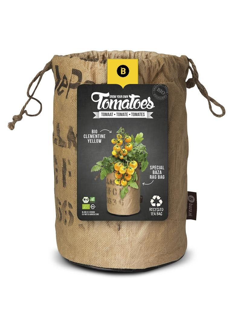 Baza Seeds & Tomatoes Rags Bio Clementine Yellow