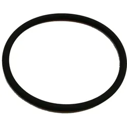 Wolf O-Ring für Abgaswärmetauscher 8905608 für CSK