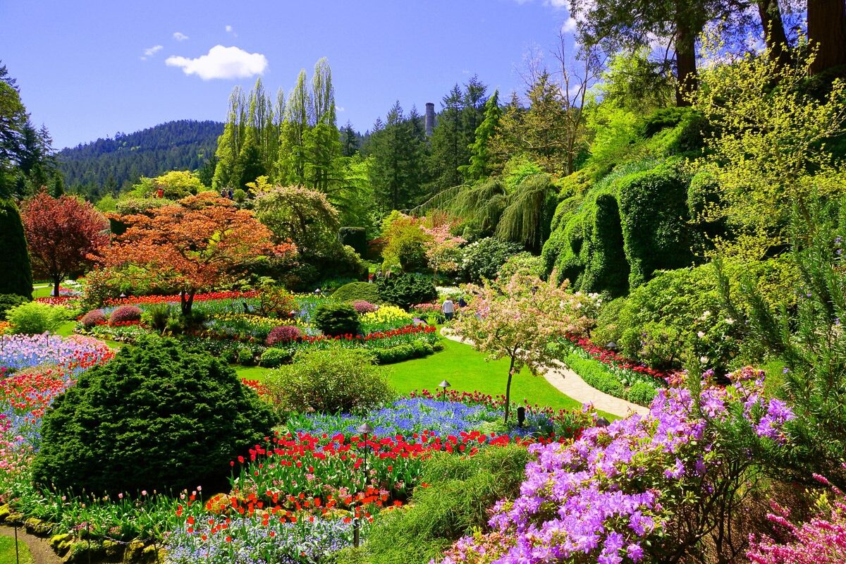 Fototapete PAPERMOON "Butchart Gardens", bunt, B:2,5m L:1,86m, Vlies, Tapeten, Fototapete bunt B/L: 2,5m x 1,86m, Bahnen: 5 Stk.