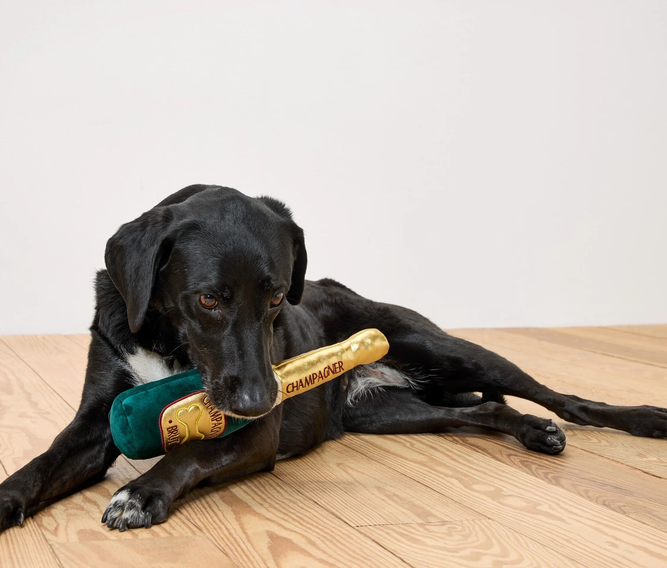 Tchibo - Hunde-Plüschspielzeug »Champagnerflasche« - mehrfarbig